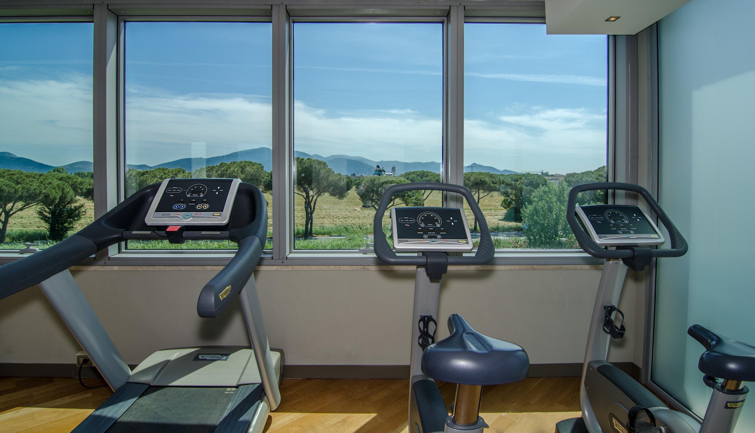 Отель Pisa Tower Plaza Экстерьер фото The gym at the hotel
