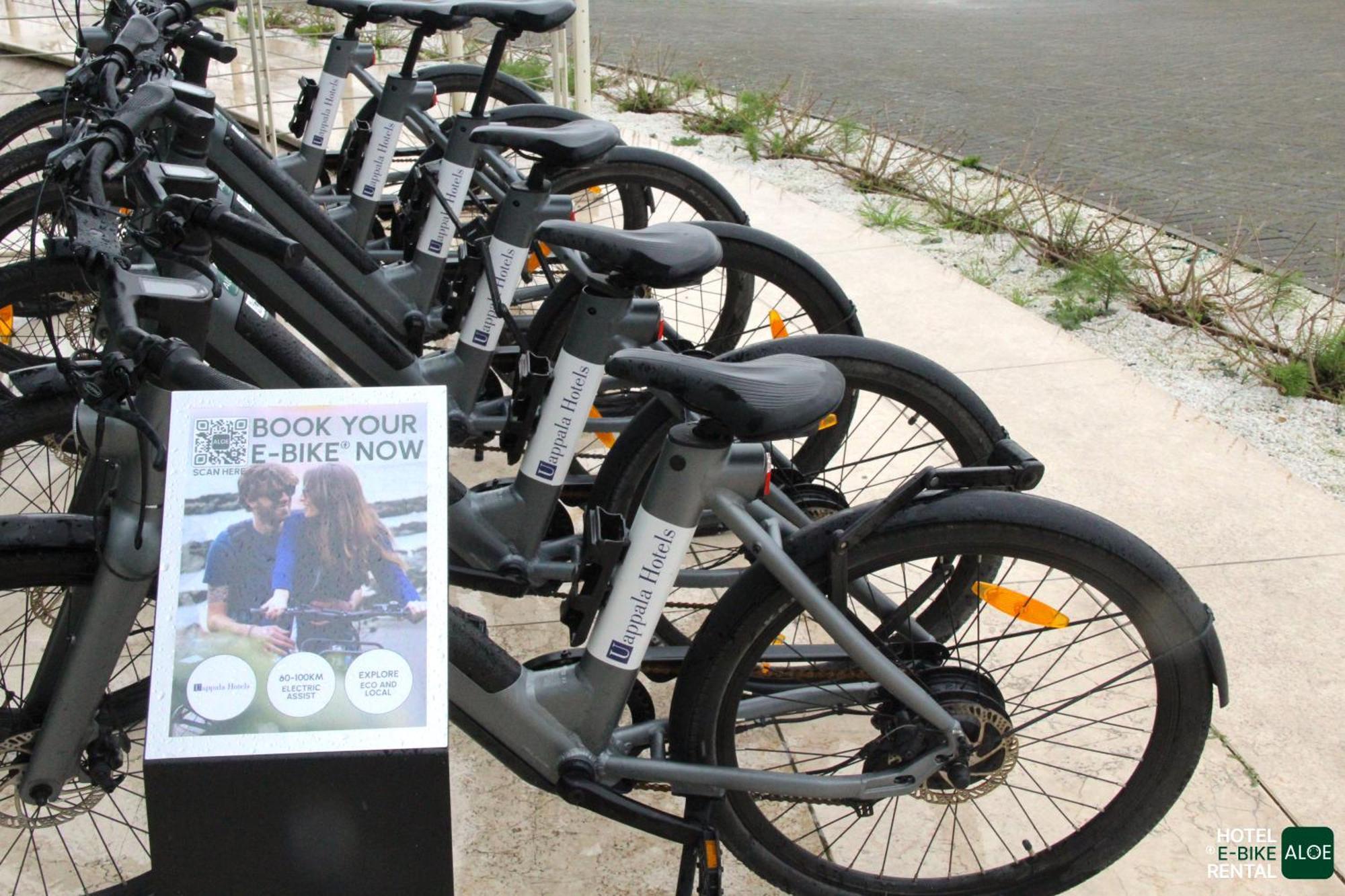 Отель Pisa Tower Plaza Экстерьер фото Free bikes for students